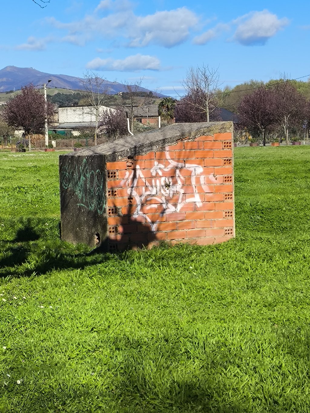 necesita mortero o capa estetica